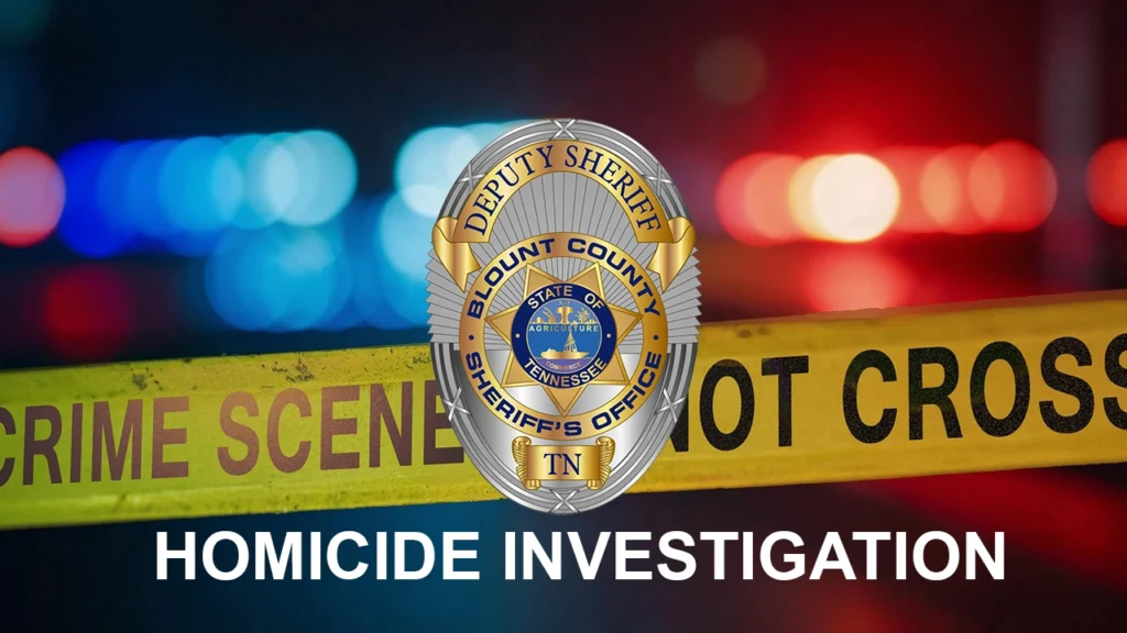 graphic homicide investigation copy